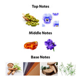 Discover Emper’s Unisex Stallion 53 EDP Spray 3.4 oz, a luxury fragrance featuring cardamom and violets top notes, amber and iris heart, and a base of herbs, leather, sandalwood, and vetiver for an unforgettable scent experience.